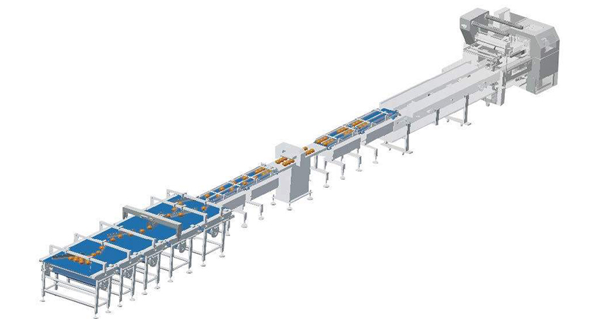 Group bread/hamburger packaging solution