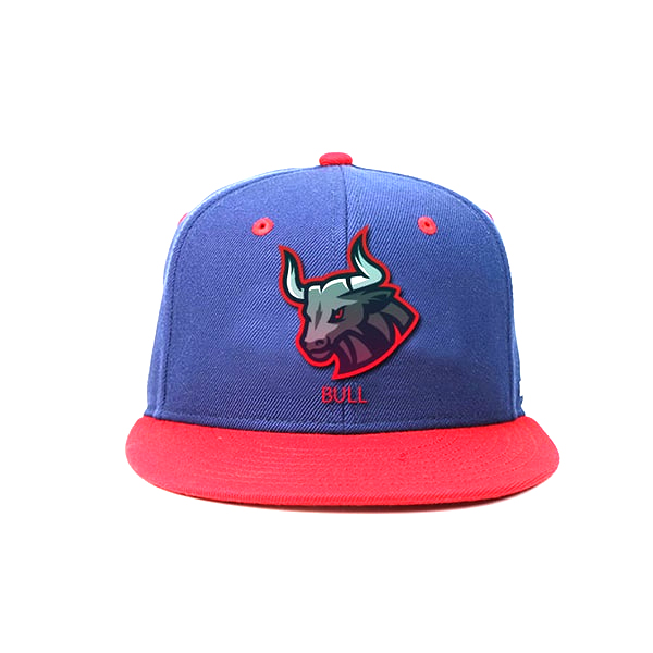 ACE Custom Made Snapback Caps Hip Hop Wholesale Blue Red 100% Cotton Plain Snapback Caps 3D Embroidery Flat Hat