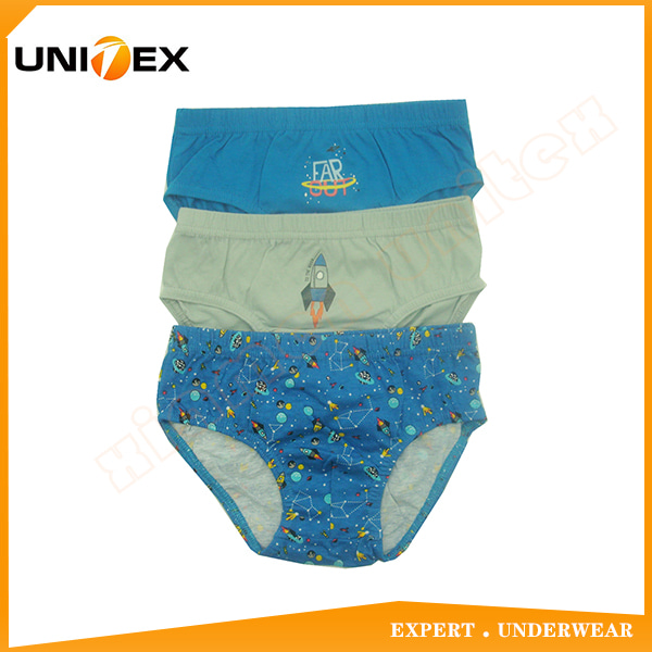 School Boys Briefs Underwear